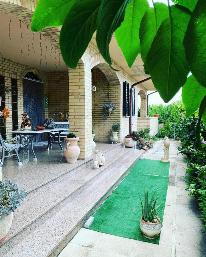 B&B Portobello Torrevecchia Teatina Εξωτερικό φωτογραφία